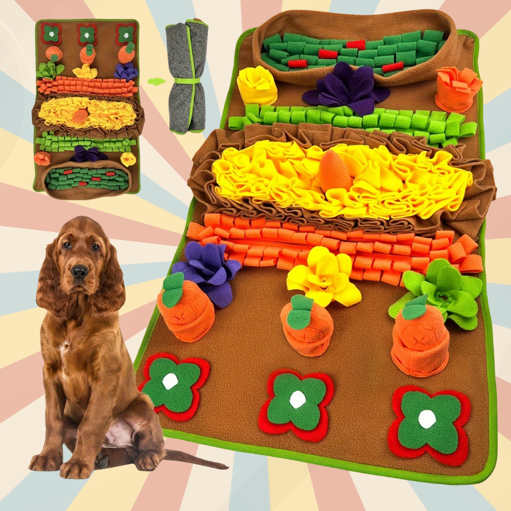 Tapis de Fouille Potager Sonore – Jouet Olfactif Lavable pour Chien