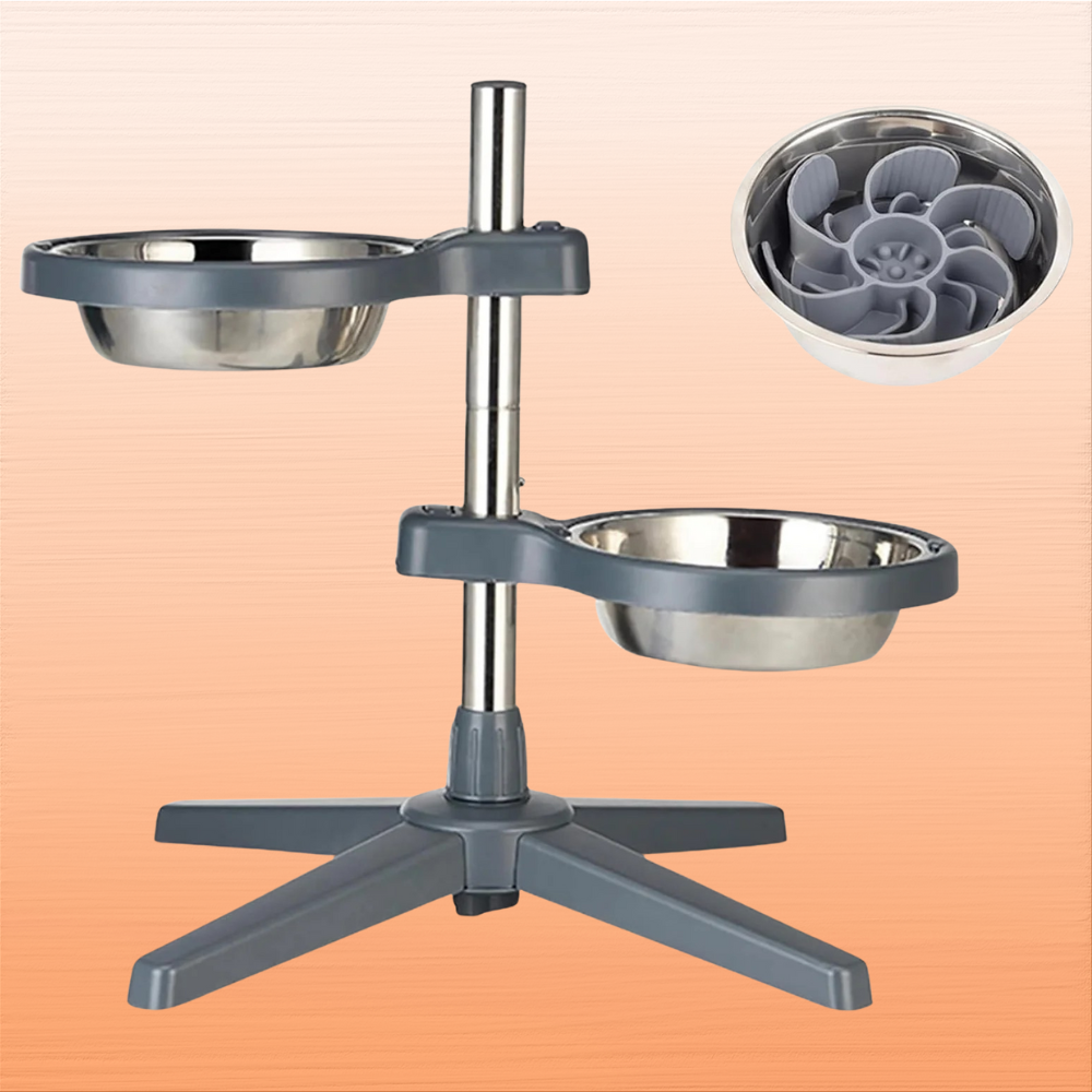 Gamelle surélevée ajustable en inox pour Chien