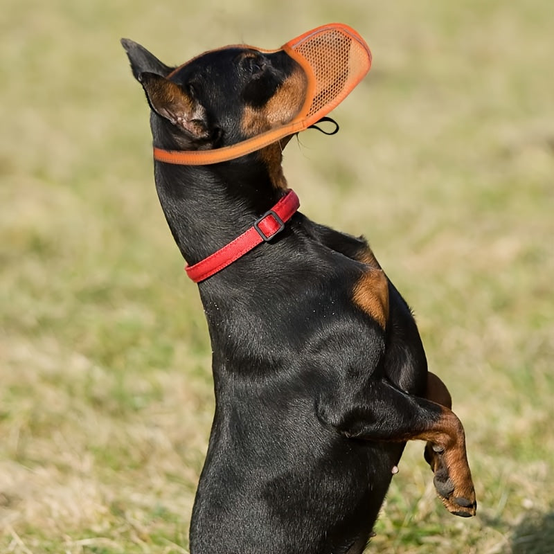 Muselière pour Chien en Maille Respirable