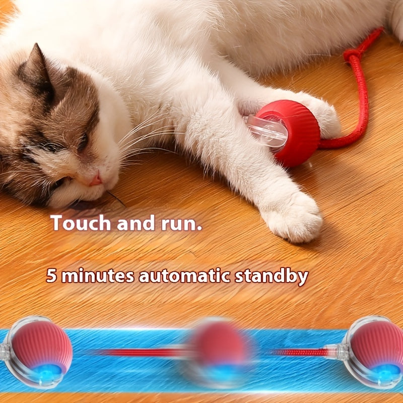Balle Interactive Électrique pour Chat avec Corde et Modes Lumineux