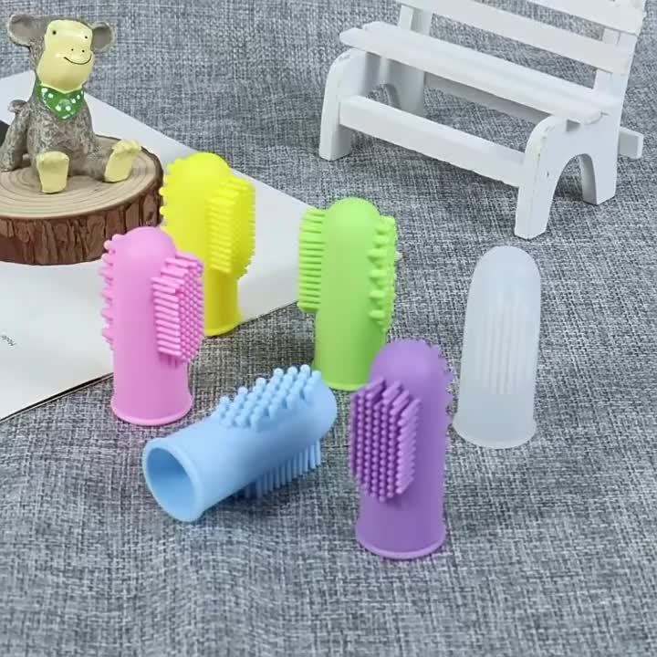 Kit Dentaire Silicone PetSmile avec Dentifrice Bioline