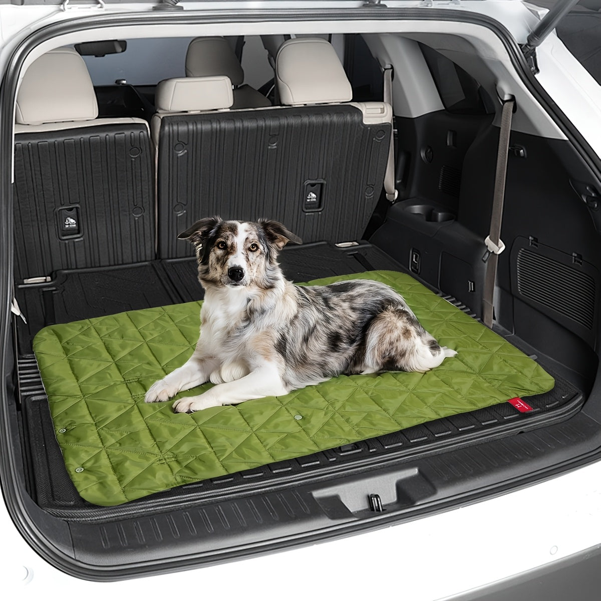 Tapis de Voyage Roulable pour Chien – Compact, Lavable et Tout-Temps