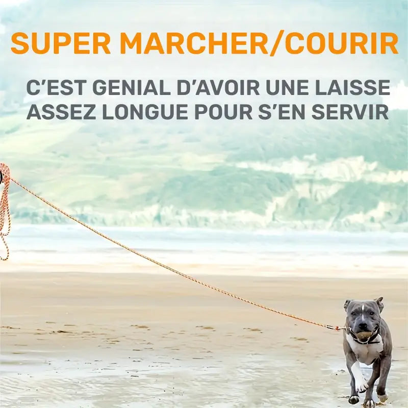 Longe Corde Orange Poignée Confort pour Chien