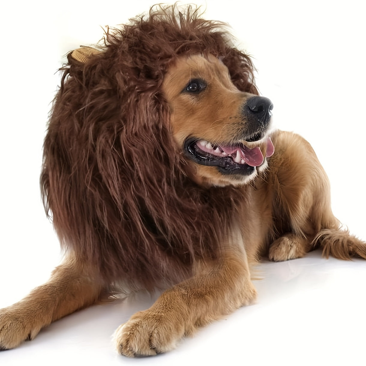 Crinière de Lion Réaliste pour Chiens Moyens et Grands