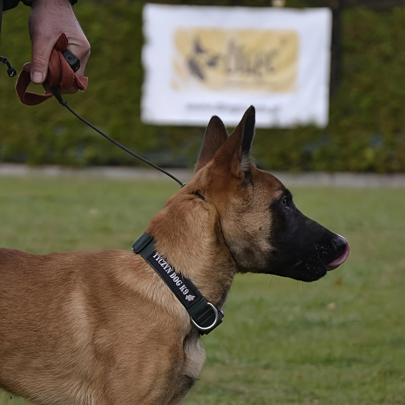 Collier Étrangleur en Corde tressée ajustable pour Chien