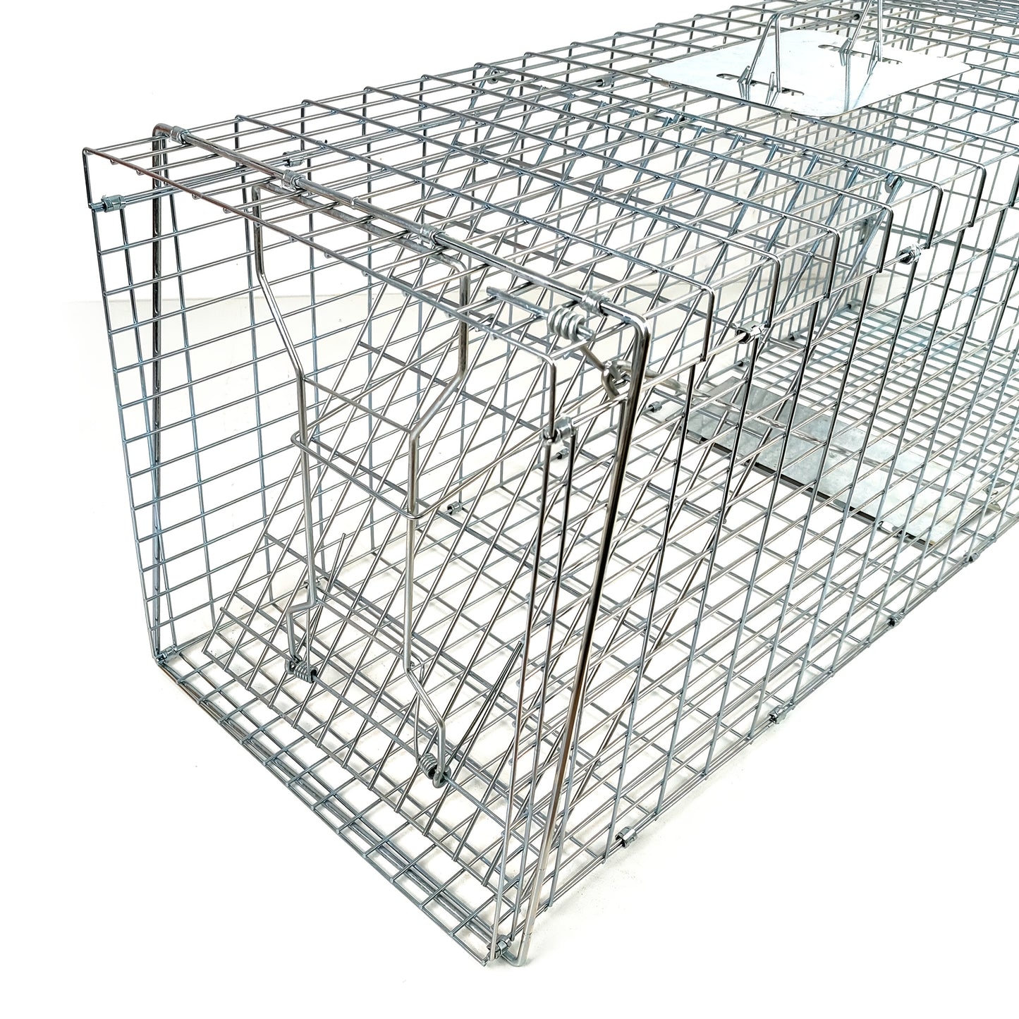 Cage de Capture et Transport Pliable pour Animaux – Grand Modèle