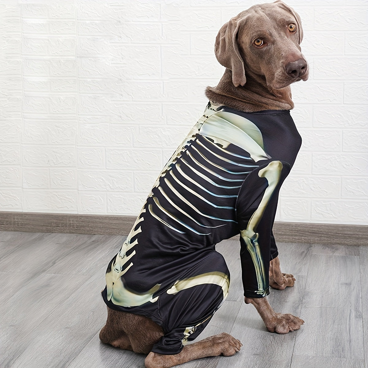Costume Squelette Halloween pour Chiens