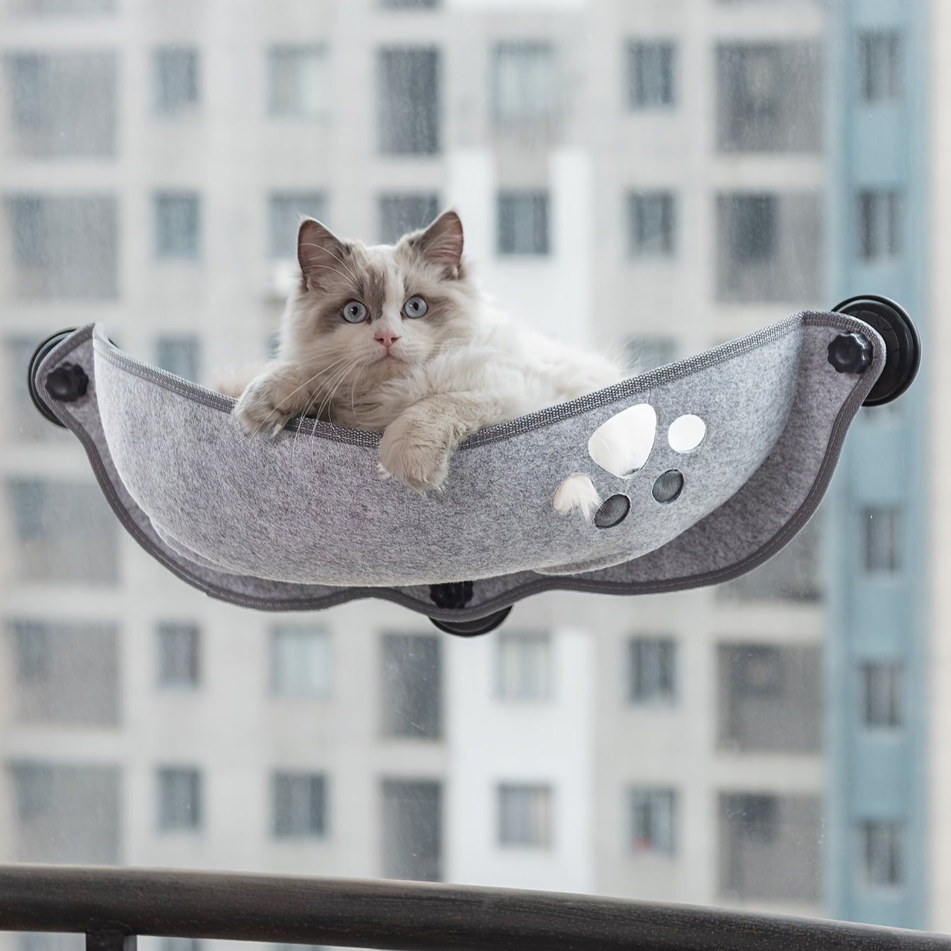 Hamac de Fenêtre en Forme de Croissant pour Chat