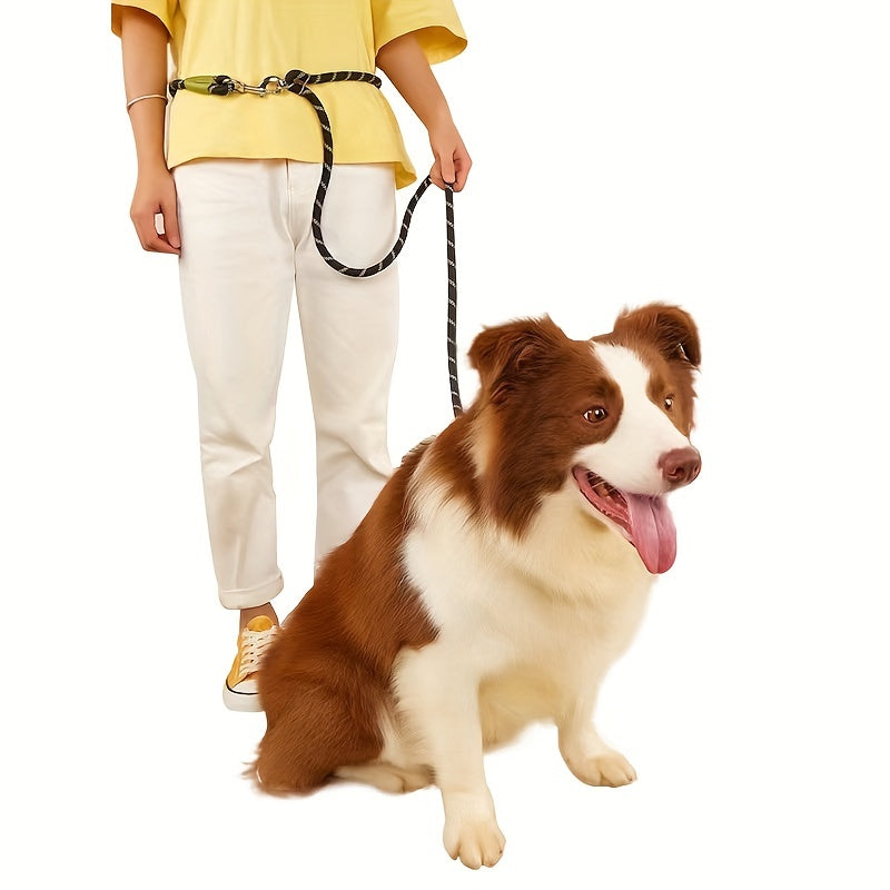 Laisse Mains Libres en Corde Réfléchissante pour Chien