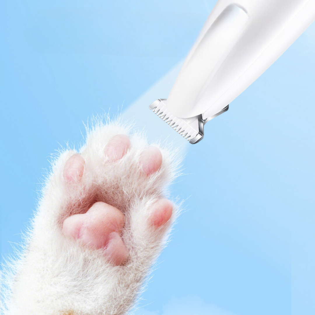 Tondeuse de précision pour pattes et poils d’animaux