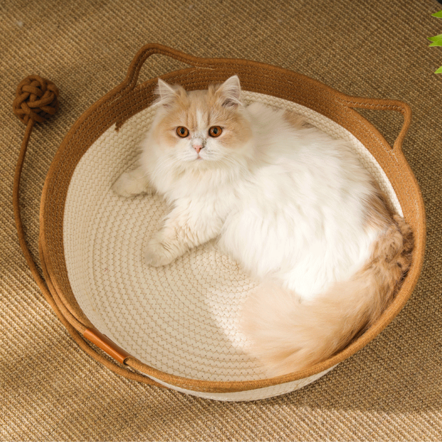 Panier Tressé Confort pour Chat – Design Oreilles & Queue
