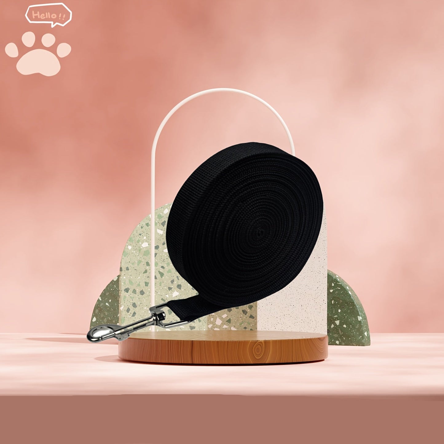 Longe Plate Multicolore – 5M et 10M pour Chien