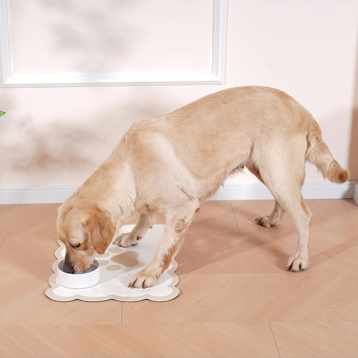 Tapis gamelle absorbant en diatomite pour chien et chat