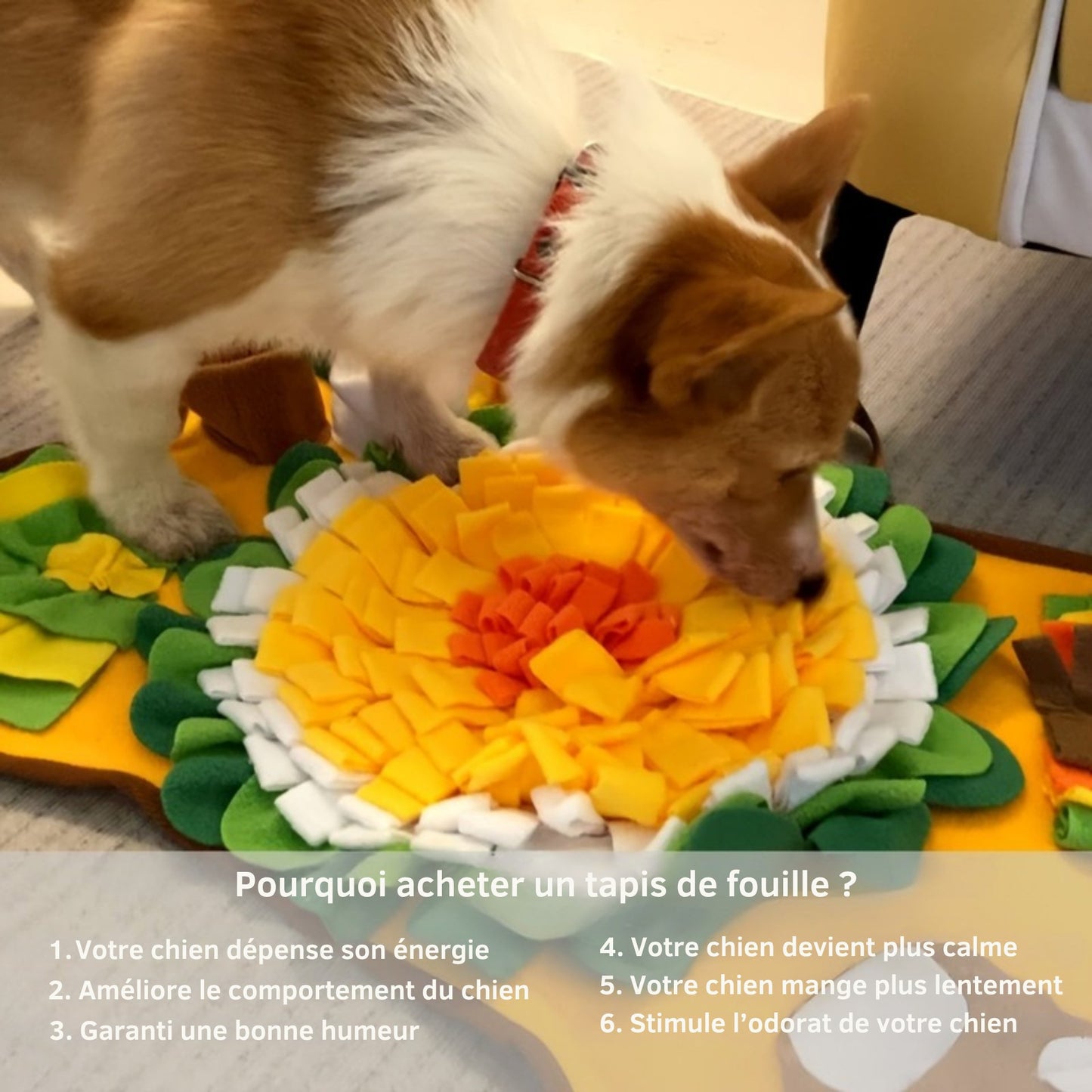 Tapis de Fouille en Forme d’Os pour Chiens