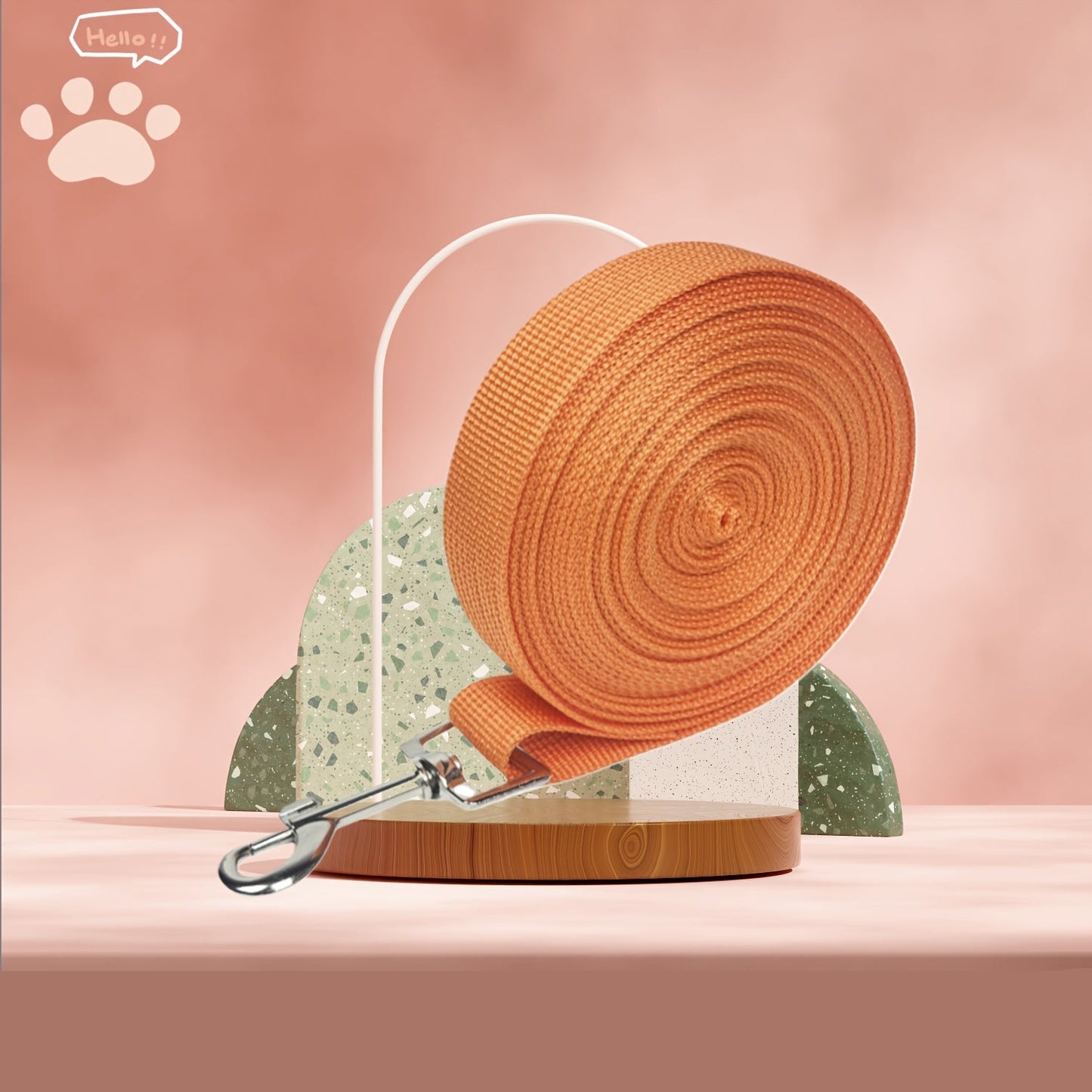 Longe Plate Multicolore – 5M et 10M pour Chien