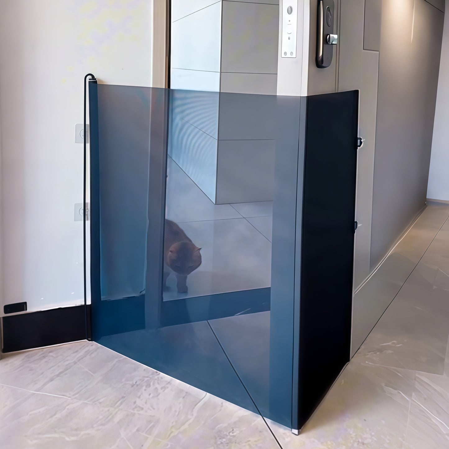 Barrière Rétractable PVC Noire pour Chats et Chiens – Fermeture Automatique