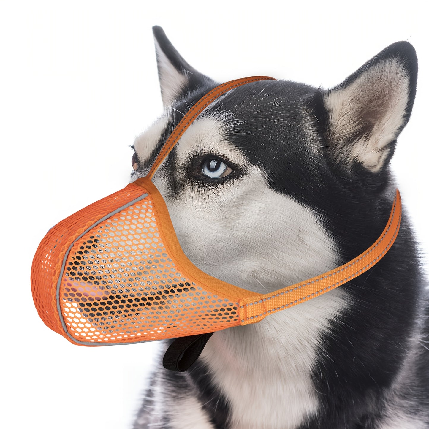 Muselière pour Chien en Maille Respirable