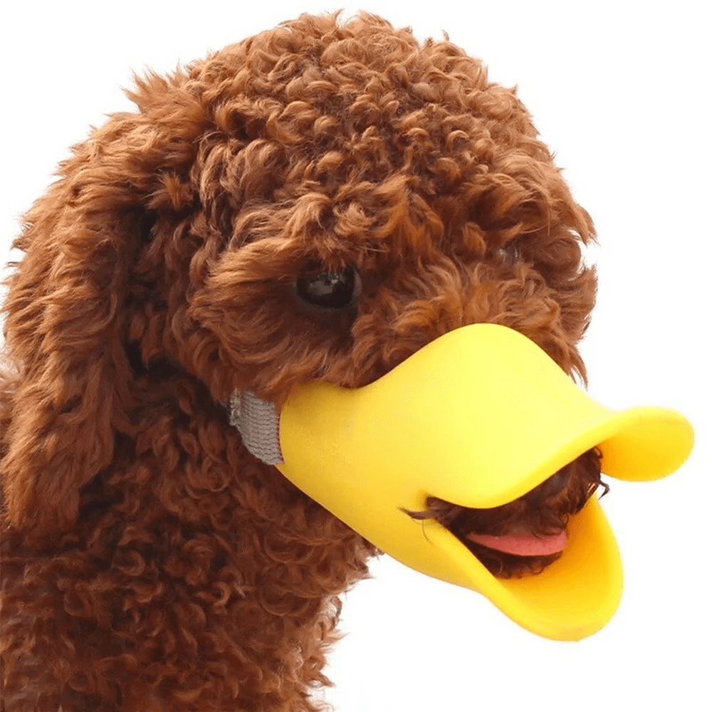 Muselière Bec de Canard pour Petit Chien