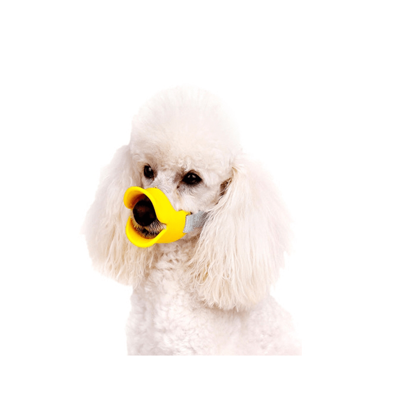 Muselière Bec de Canard pour Petit Chien