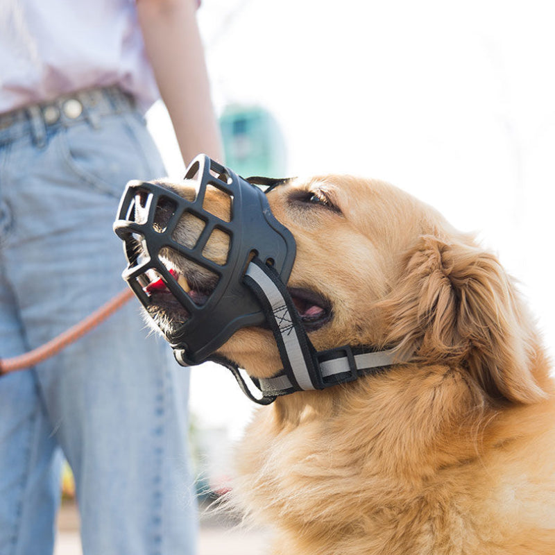 Muselière Réglable Antimorsure pour Chiens Moyens et Grands