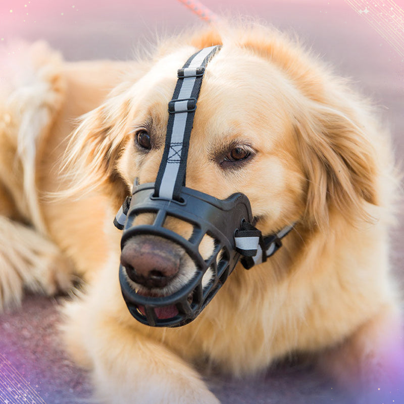 Muselière Réglable Antimorsure pour Chiens Moyens et Grands
