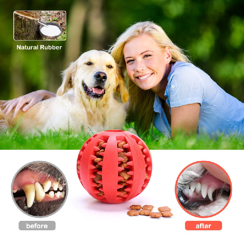 Balle à Mâcher Dentée avec Distributeur de Friandises