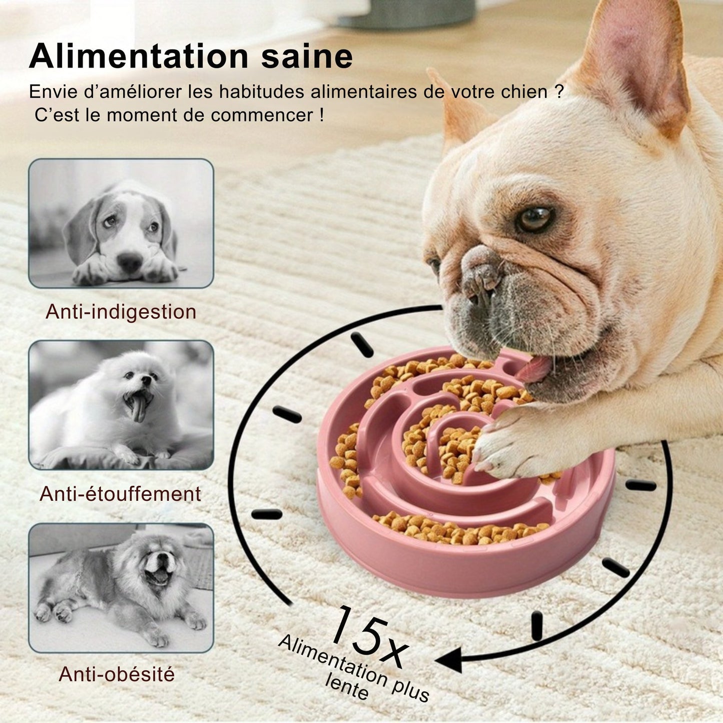 Gamelle SpiralMaze anti-glouton labyrinthe pour Chien et Chat