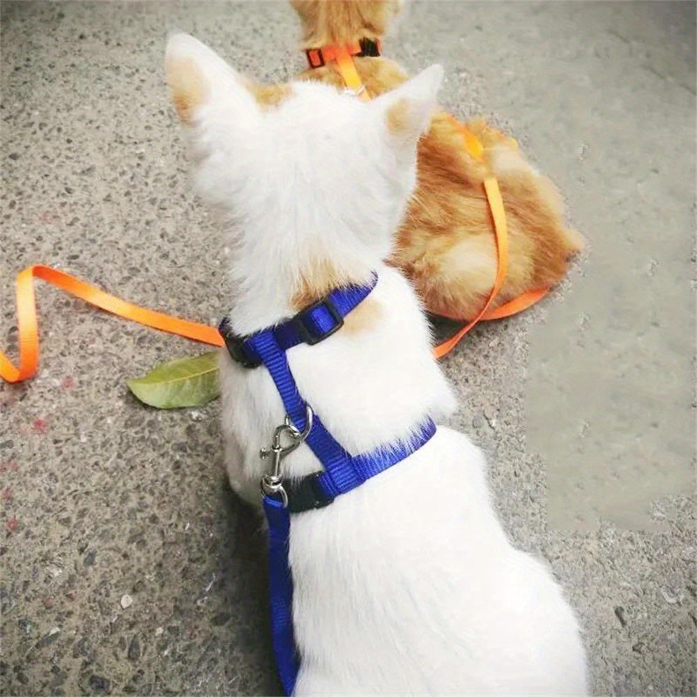 Harnais et Laisse Réglables pour Chat - Modèle Confort et Sécurisé