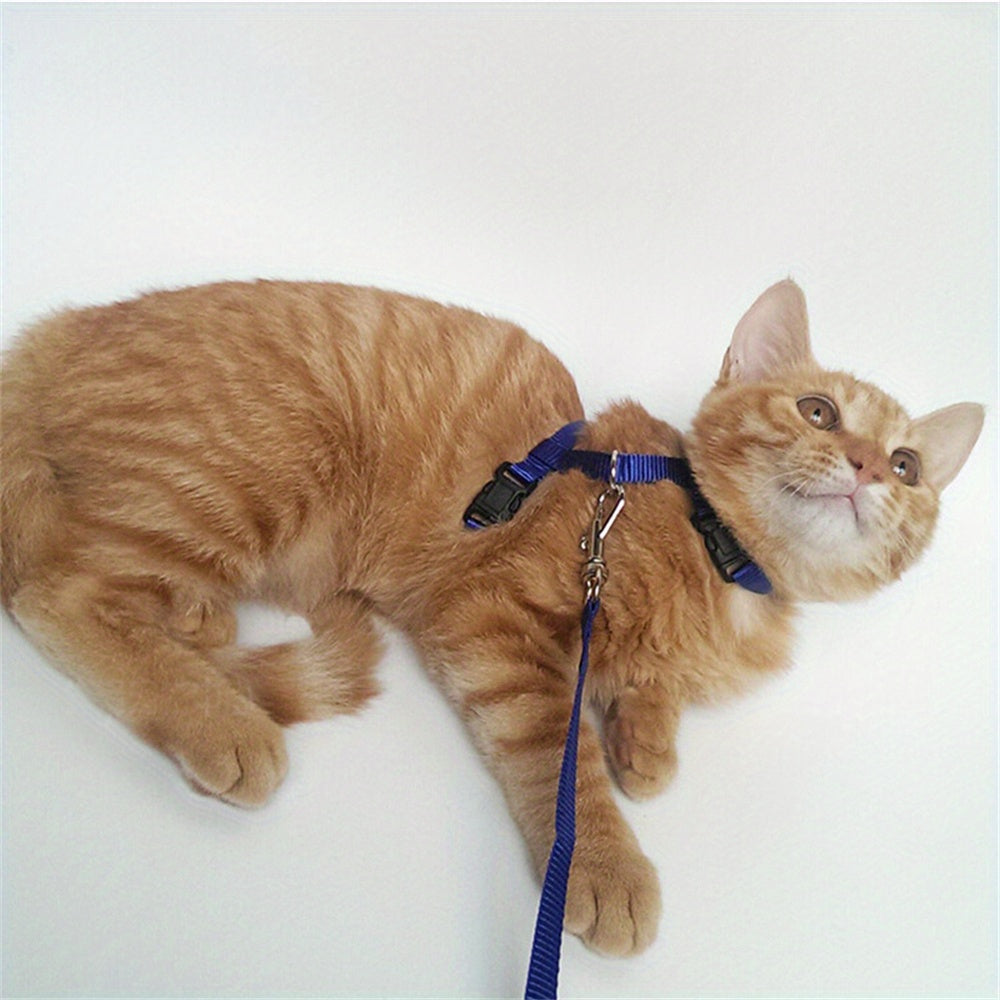 Harnais et Laisse Réglables pour Chat - Modèle Confort et Sécurisé