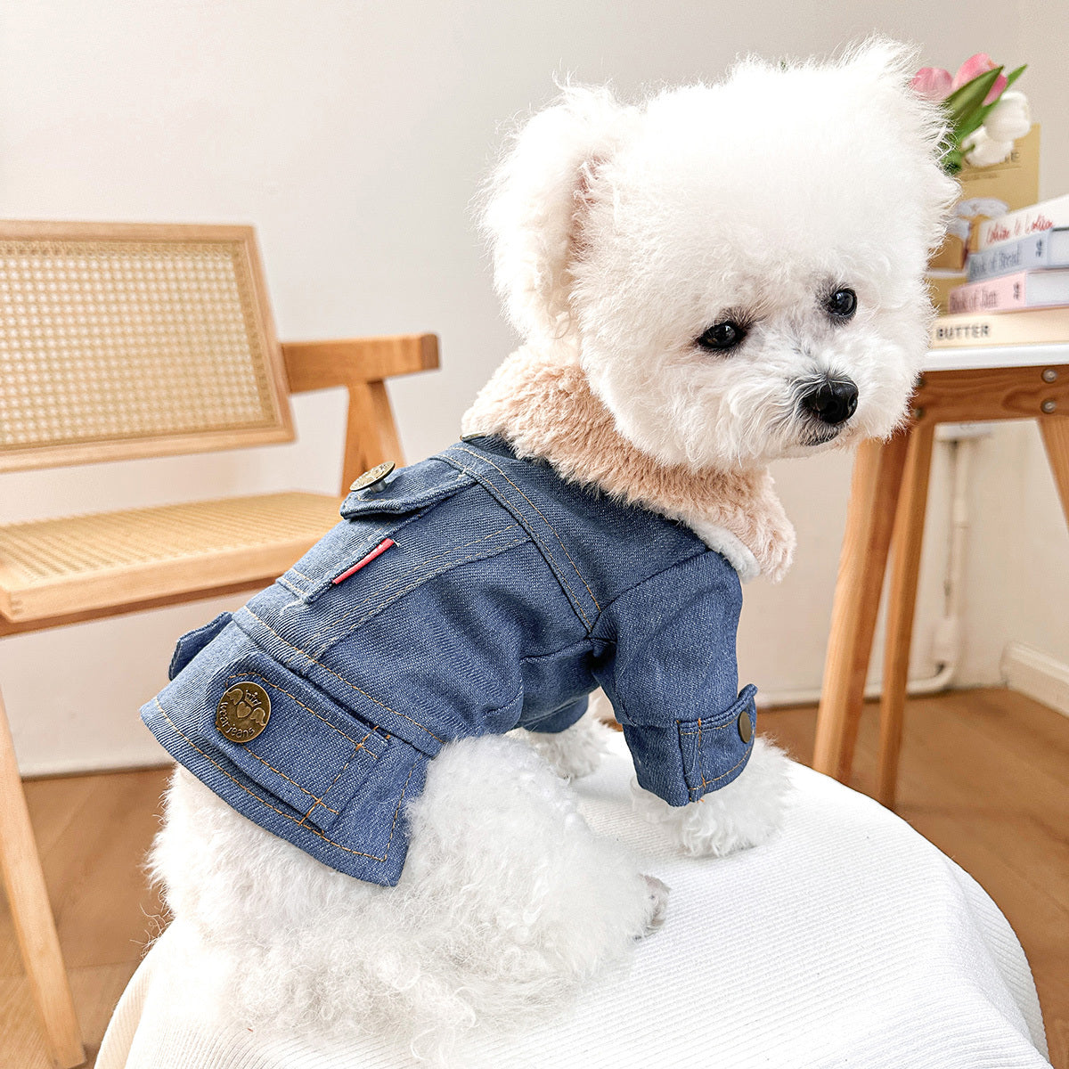 Manteau en Jean Doublé Polaire pour Chiens et Chats – Veste Chaude Automne/Hiver
