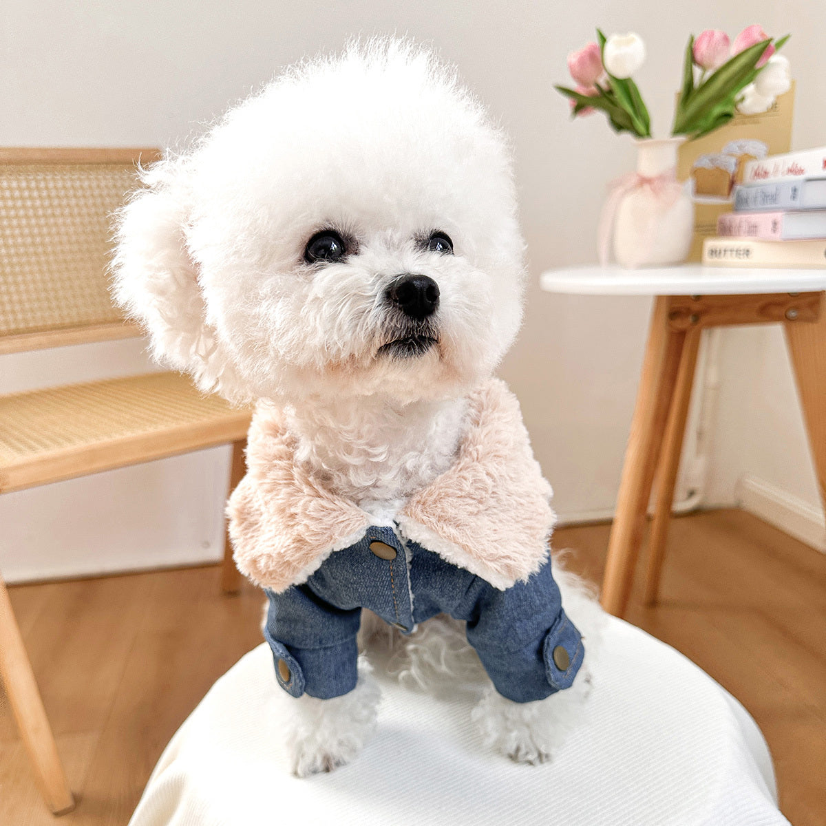 Manteau en Jean Doublé Polaire pour Chiens et Chats – Veste Chaude Automne/Hiver