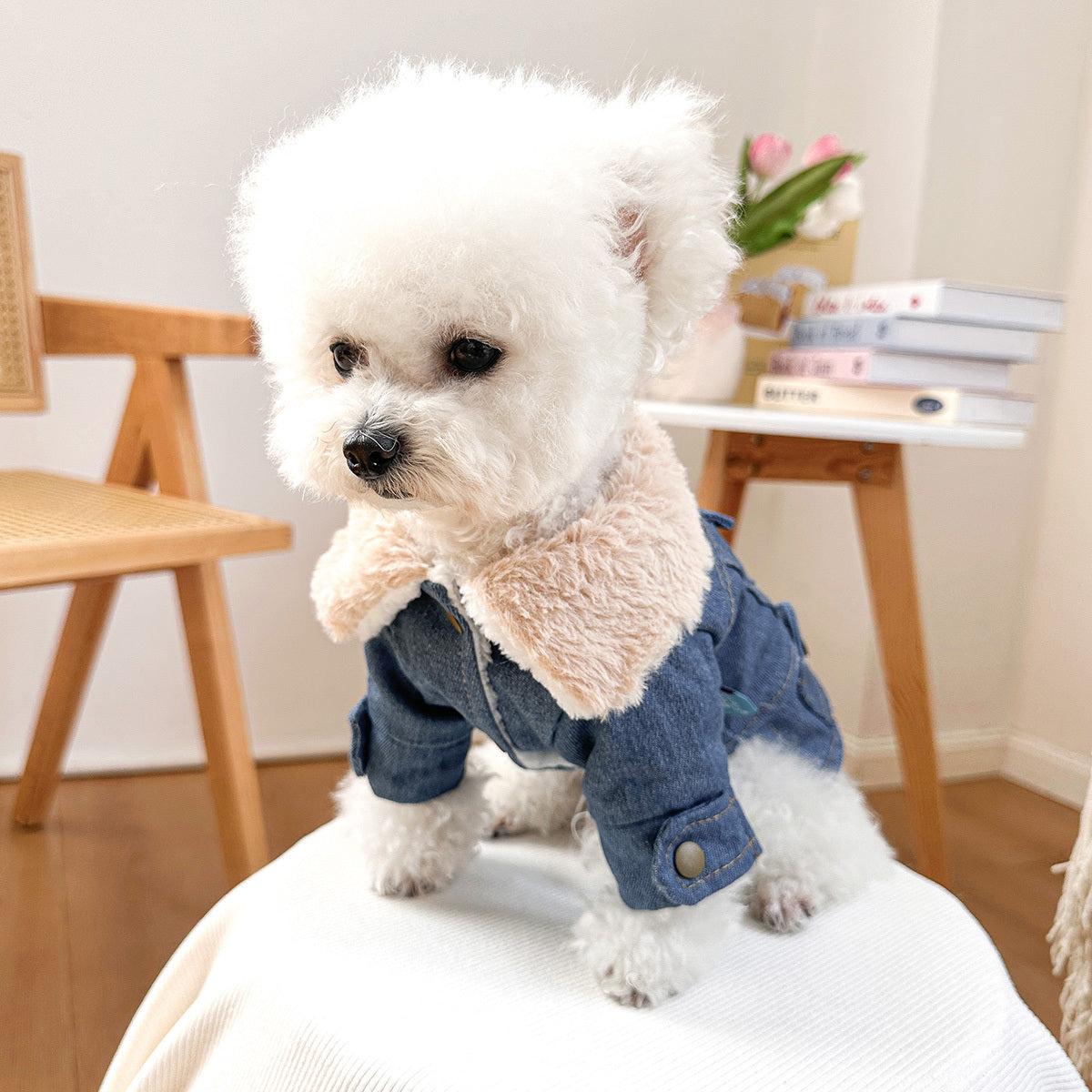 Manteau en Jean Doublé Polaire pour Chiens et Chats – Veste Chaude Automne/Hiver