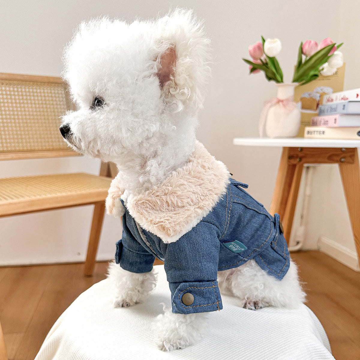 Manteau en Jean Doublé Polaire pour Chiens et Chats – Veste Chaude Automne/Hiver