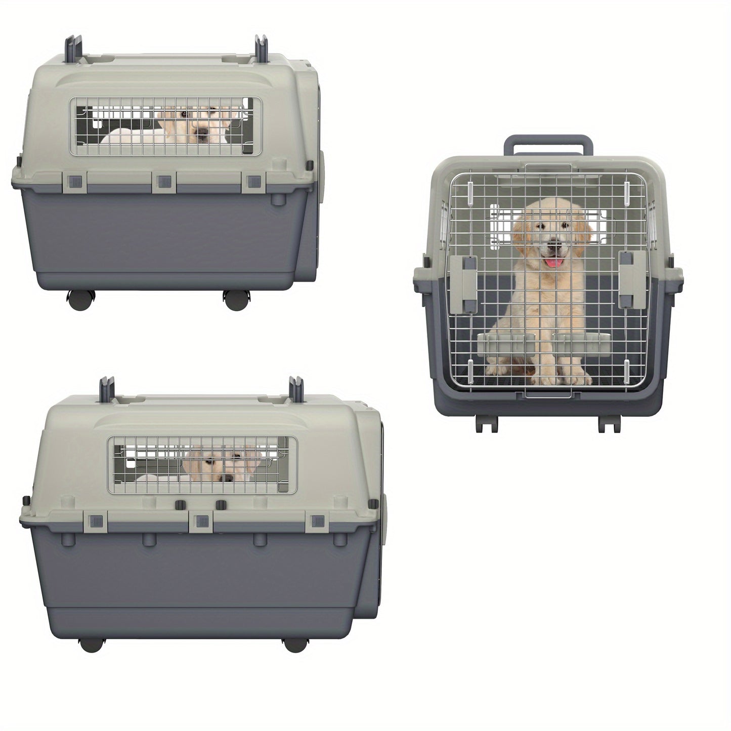 Caisse de Transport Rigide à Roulettes pour Chien ou Chat