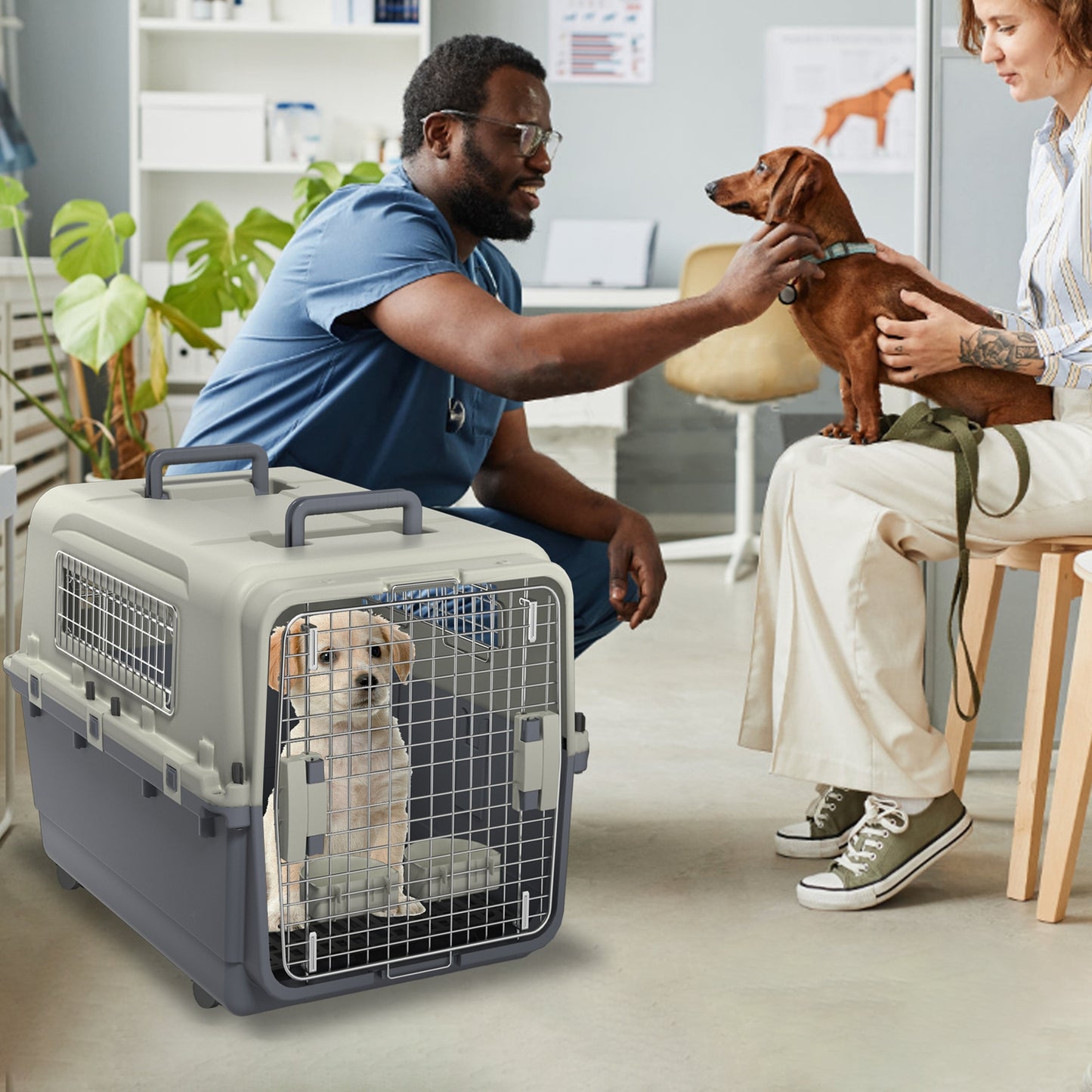Caisse de Transport Rigide à Roulettes pour Chien ou Chat