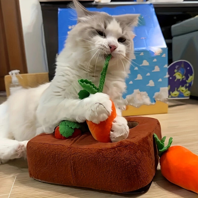 Jeu de Récolte de Carottes en Peluche pour Chiens