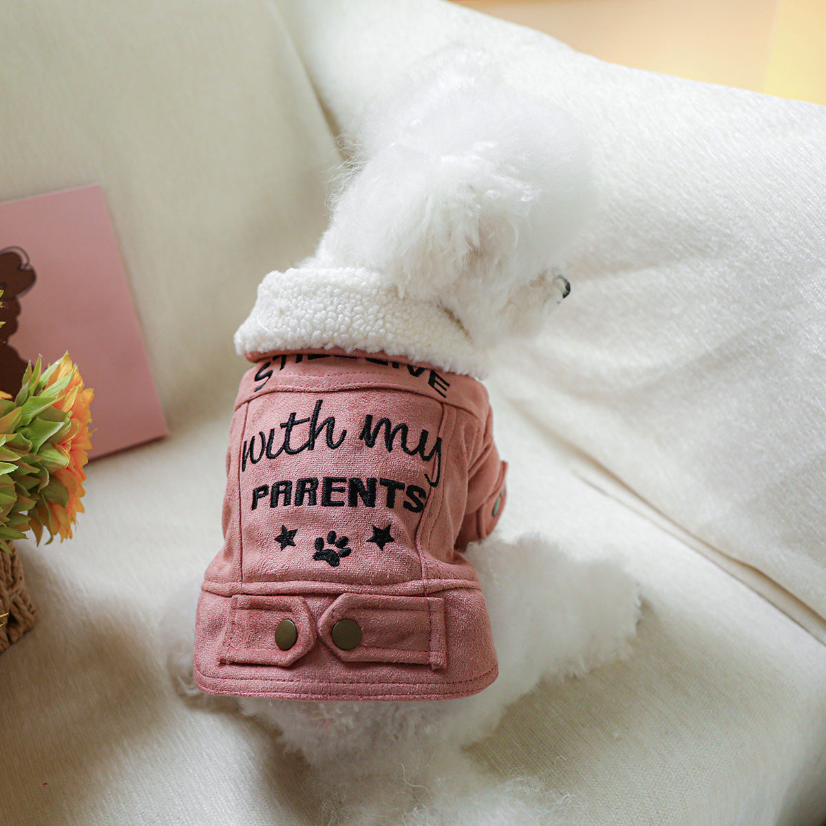 Veste Doublée pour Chiens et Chats – Still Live with My Parents