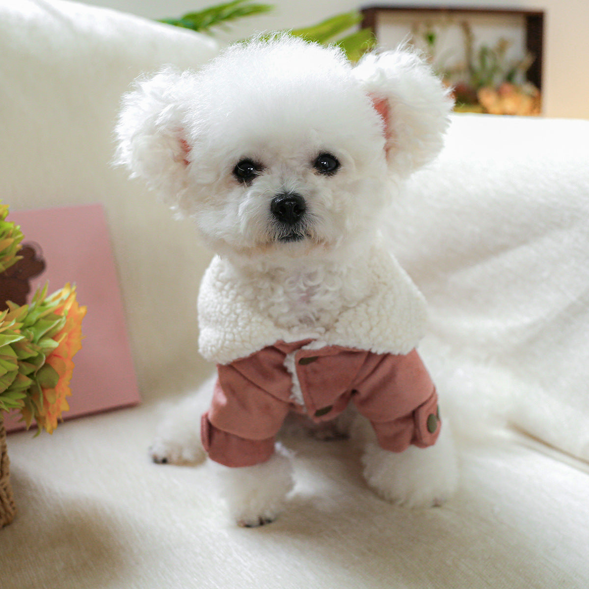 Veste Doublée pour Chiens et Chats – Still Live with My Parents