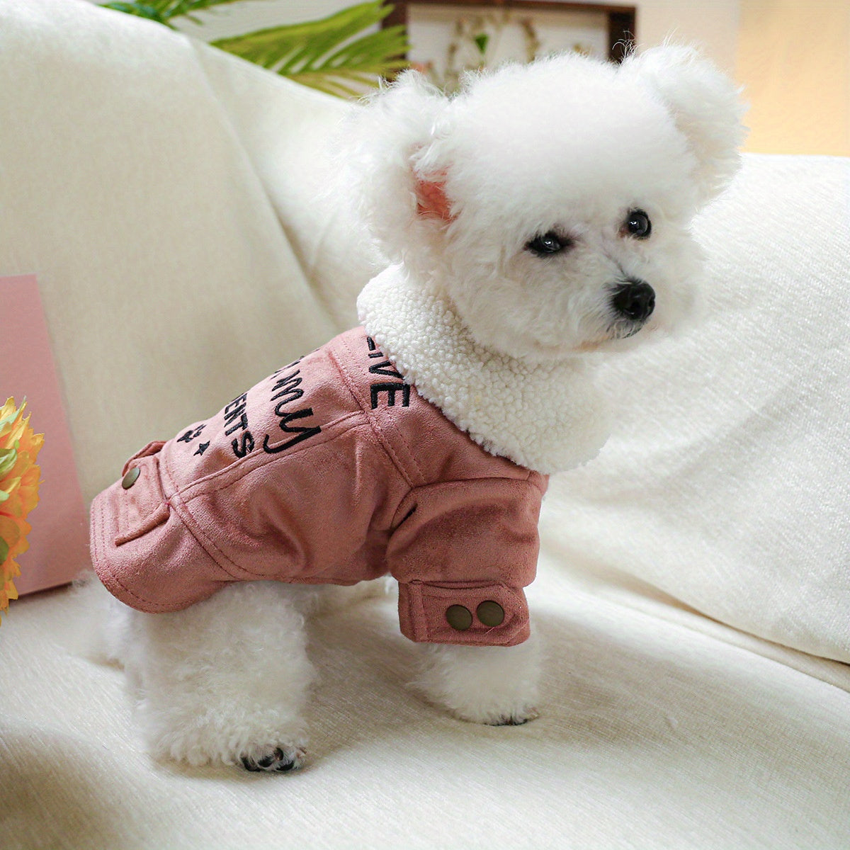 Veste Doublée pour Chiens et Chats – Still Live with My Parents