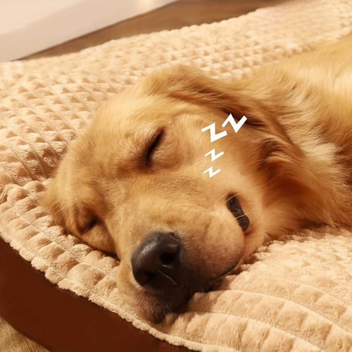 Matelas moelleux soutien de la nuque pour Chien