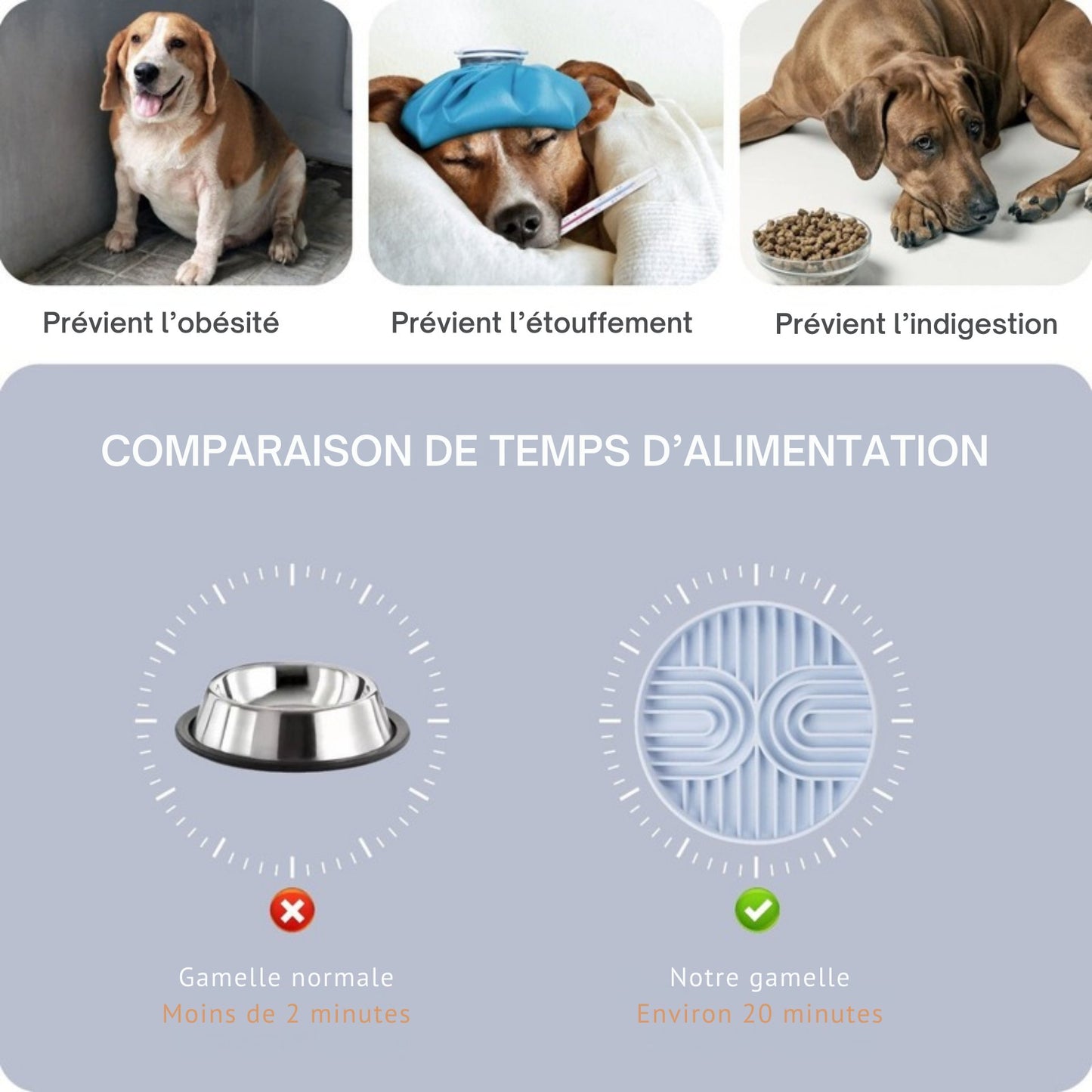 Gamelle anti-glouton souple pour Chien