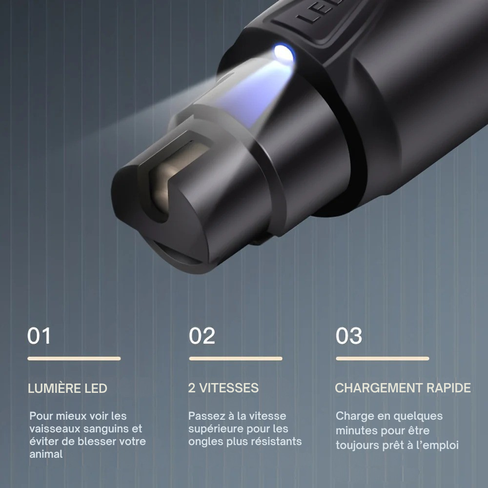 Limeur Électrique Silencieux pour Griffes avec LED