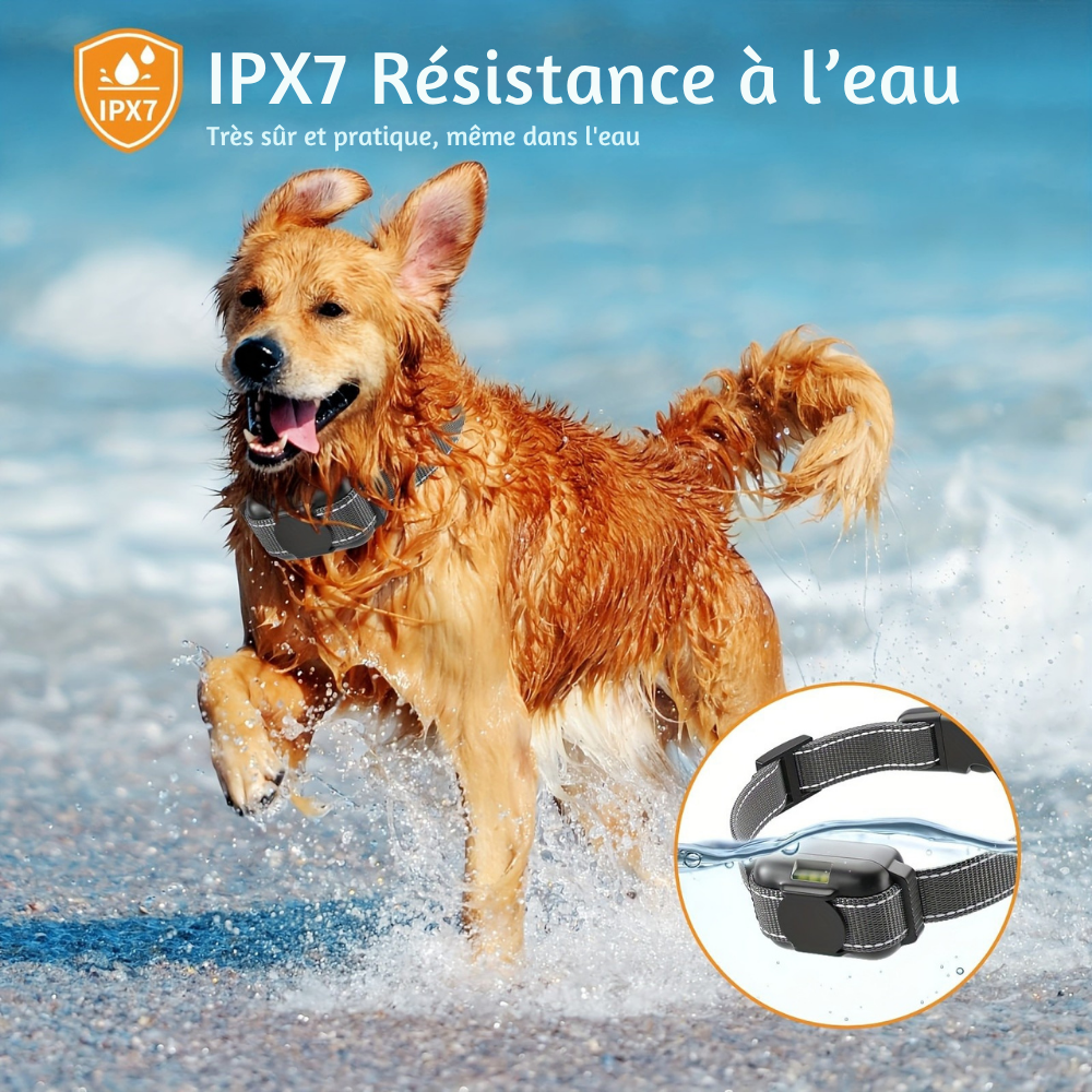 Collier de Dressage à Vibration avec Télécommande – 3 modes, lumière intégrée