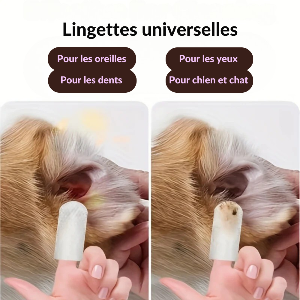 Lingettes Nettoyantes pour Oreilles, Yeux et Dents