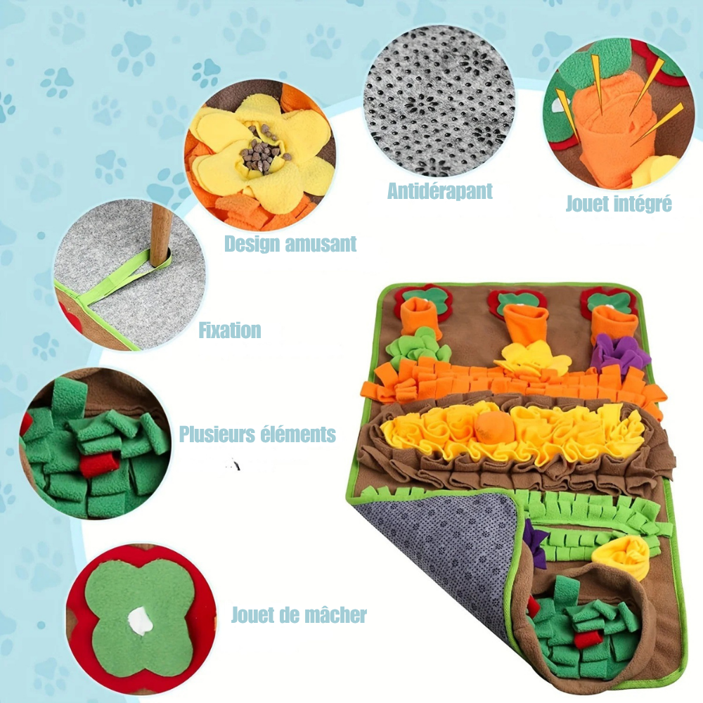 Grand Tapis de Fouille avec Carottes et Jouets Sonores