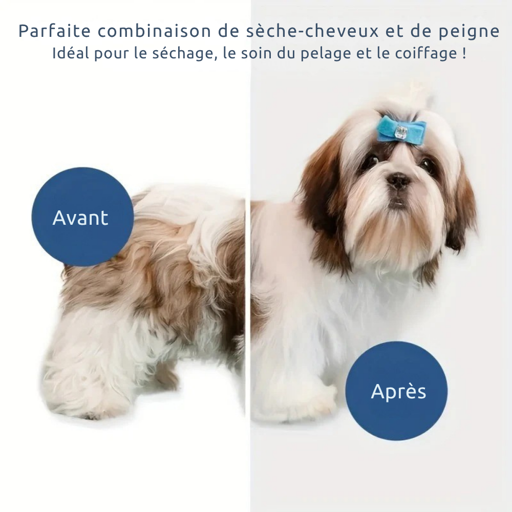 Pulseur Brosse 3-en-1 pour Chiens et Chats – 3 Vitesses, 3 Modes