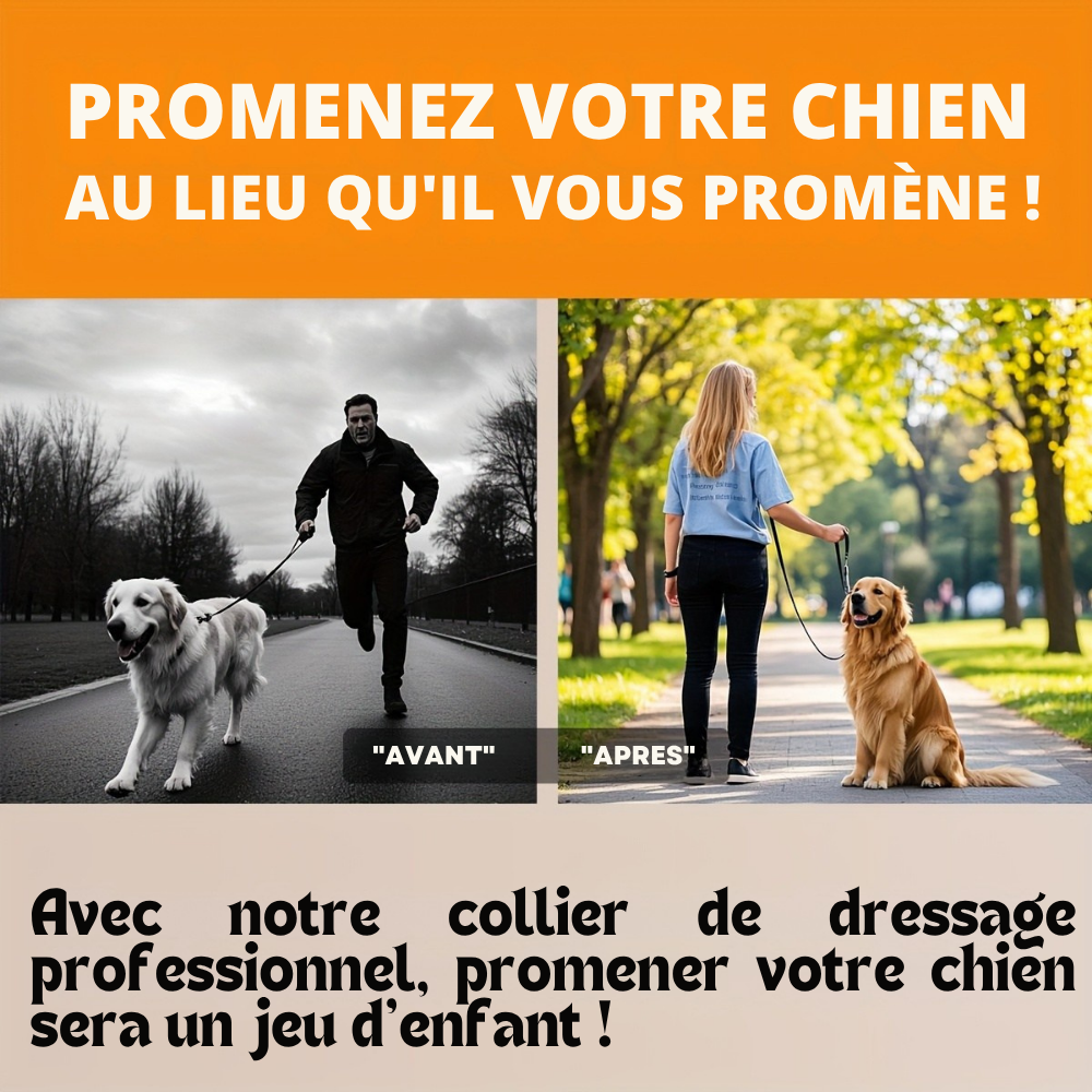 Collier étrangleur double torsion en acier inoxydable – spécial dressage comportemental