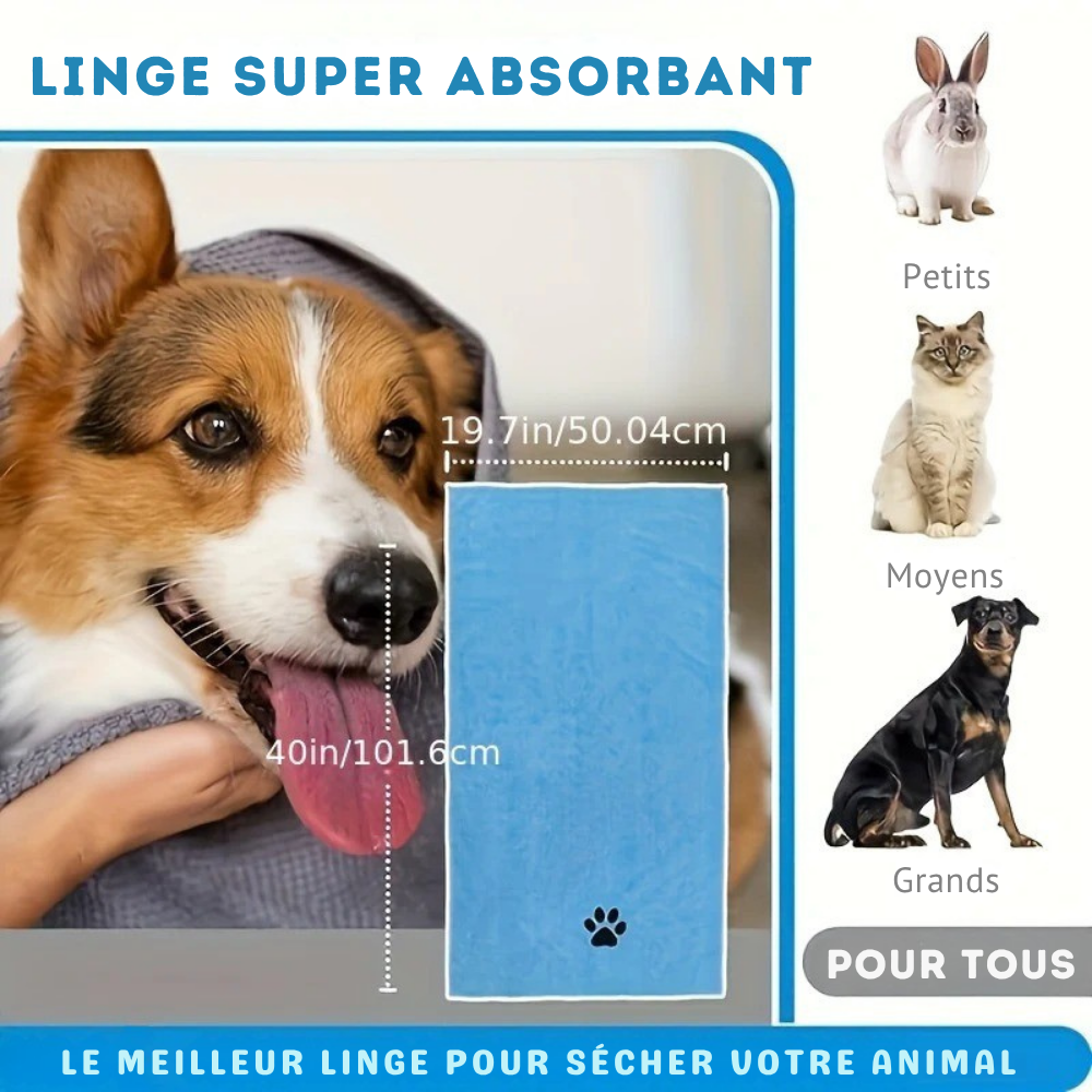 Kit de Toilettage 6-en-1 pour Chiens et Chats – Brosse, Gants, Serviette & Accessoires