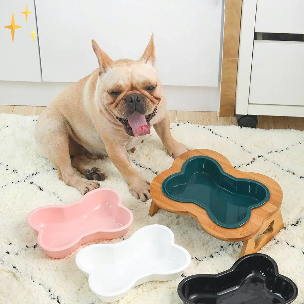 Gamelle Céramique Élevée pour Chien – Design Os & Support Bois