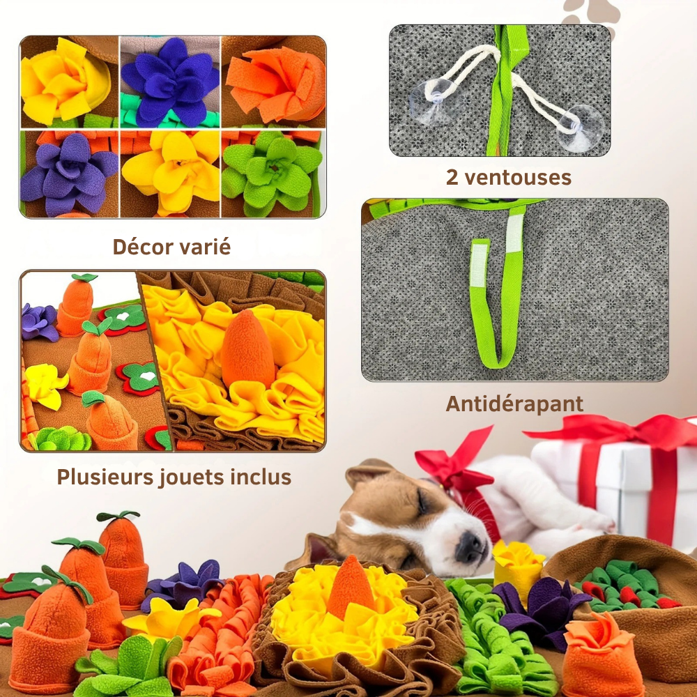 Tapis de Fouille Potager Sonore – Jouet Olfactif Lavable pour Chien